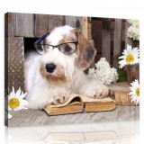 Consalnet Vászonkép, Kiskutya 80x60 cm méretben