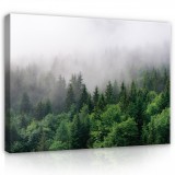 Consalnet Vászonkép, Ködös erdő, 60x40 cm méretben