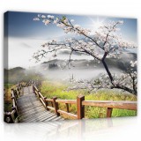 Consalnet Vászonkép, Ködös tájkép 80x60 cm méretben