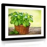 Consalnet Vászonkép, Kosár növény, 100x75 cm méretben