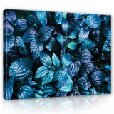 Consalnet Vászonkép, Levelek, 100x75 cm méretben