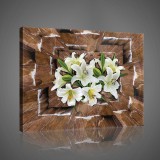 Consalnet Vászonkép, Liliomok barna háttérrel, 100x75 cm méretben