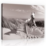 Consalnet Vászonkép, Ló a tengerparti mólón 80x60 cm méretben