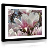 Consalnet Vászonkép, Magnóliák 80x60 cm méretben