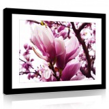 Consalnet Vászonkép, Magnóliák 80x60 cm méretben