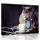 Consalnet Vászonkép, Mérgesmacska 80x60 cm méretben