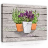 Consalnet Vászonkép, Növények, 100x75 cm méretben