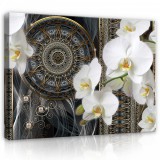 Consalnet Vászonkép, Orchidea absztrakt, 100x75 cm méretben