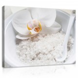 Consalnet Vászonkép, Orchidea és só, 100x75 cm méretben