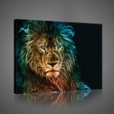 Consalnet Vászonkép, Oroszlán, 100x75 cm méretben