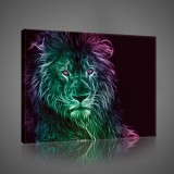 Consalnet Vászonkép, Oroszlán, 100x75 cm méretben