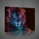 Consalnet Vászonkép, Oroszlán, 100x75 cm méretben