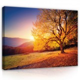 Consalnet Vászonkép, Őszi fa, 100x75 cm méretben