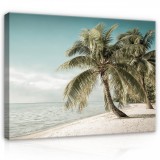 Consalnet Vászonkép, Pálmafás tengerpart, 100x75 cm méretben