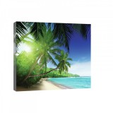 Consalnet Vászonkép, Pálmafás tengerpart 80x60 cm méretben