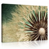 Consalnet Vászonkép, Pitypang 80x60 cm méretben