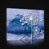 Consalnet Vászonkép, Pitypangok és pillangók, 100x75 cm méretben