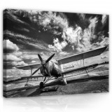 Consalnet Vászonkép, Repülő fekete-fehér, 100x75 cm méretben