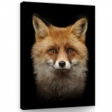 Consalnet Vászonkép, Róka, 75x100 cm méretben