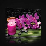 Consalnet Vászonkép, Rózsaszín orchidea, 60x40 cm méretben
