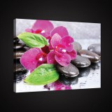 Consalnet Vászonkép, Rózsaszín orchidea köveken, 80x60 cm méretben