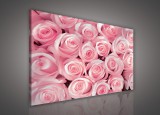 Consalnet Vászonkép, Rózsaszín rózsák, 80x60 cm méretben