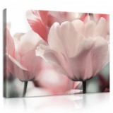 Consalnet Vászonkép, Rózsaszín virágok, 100x75 cm méretben