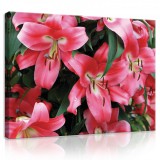 Consalnet Vászonkép, Rózsaszín virágok, 60x40 cm méretben