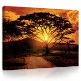 Consalnet Vászonkép, Szavannai naplemente 80x60 cm méretben