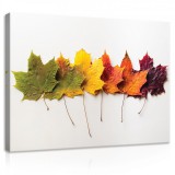 Consalnet Vászonkép, Szines levelek, 100x75 cm méretben