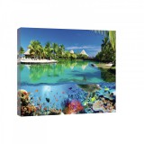 Consalnet Vászonkép, Tengerparti öböl és a vizivilág 80x60 cm méretben