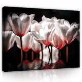 Consalnet Vászonkép, Tulipánok, 100x75 cm méretben