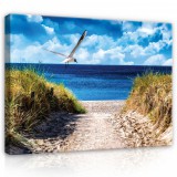 Consalnet Vászonkép, Út a tengerpartra, 100x75 cm méretben