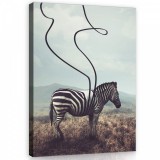 Consalnet Vászonkép, Zebra, 75x100 cm méretben