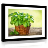 Consalnet Vászonkép, Zöld növény,fonott kosárban 80x60 cm méretben