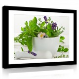 Consalnet Vászonkép, Zöld növény,kaspóban 80x60 cm méretben