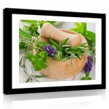 Consalnet Vászonkép, Zöld növény,kaspóban 80x60 cm méretben