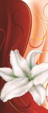 Consalnet Virág minta vlies poszter, fotótapéta 301VET /91x211 cm/