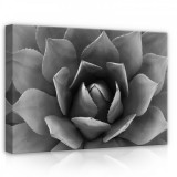 Consalnet Virág, vászonkép, 70x50 cm méretben