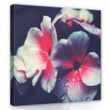 Consalnet Virág, vászonkép, 80x80 cm méretben