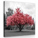 Consalnet Virágzó fa, vászonkép 80x80 cm méretben