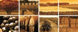 Consalnet Wineyard minta vlies poszter, fotótapéta 106VEP /250x104 cm/