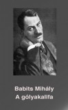 Content 2 Connect Babits Mihály: A gólyakalifa - könyv