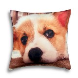 Corgis mintás párna, 45 x 45 cm