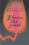 Corvina Kiadó Bergsveinn Birgisson: Elevenélet-patak - könyv