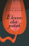 Corvina Kiadó Bergsveinn Birgisson: Elevenélet-patak - könyv
