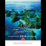 CS GROUP CSG 300 x 340mm 2023 Falinaptár - Alkotó természet (FN U00)