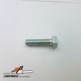 Csavar Kasei LQS350A m8x30