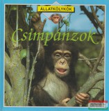 Csimpánzok - Állatkölykök