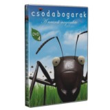 Csodabogarak 4. - A rovarok magánélete - DVD